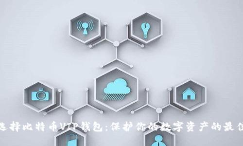 如何选择比特币VIP钱包：保护你的数字资产的最佳选择