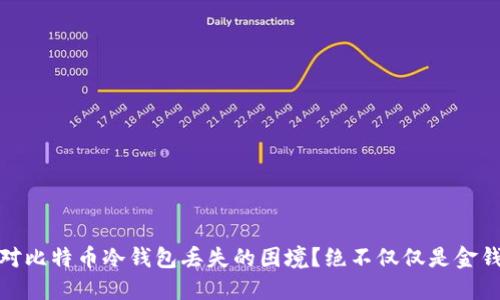 如何应对比特币冷钱包丢失的困境？绝不仅仅是金钱的损失