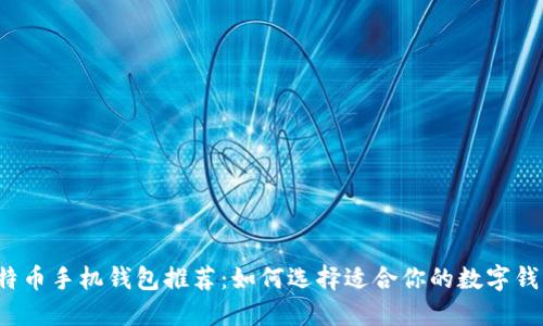 比特币手机钱包推荐：如何选择适合你的数字钱包？