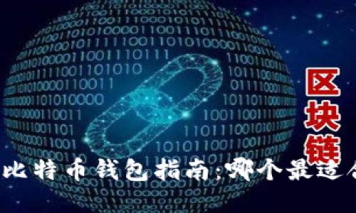 三大比特币钱包指南：哪个最适合你？