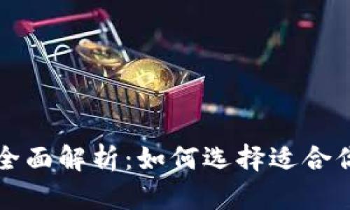 比特币钱包的全面解析：如何选择适合你的比特币钱包