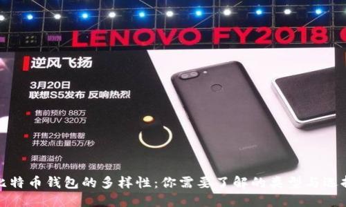 比特币钱包的多样性：你需要了解的类型与选择