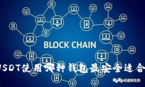 USDT使用哪种钱包最安全适合？