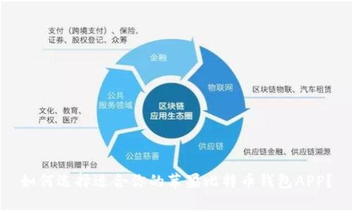 如何选择适合你的苹果比特币钱包APP？