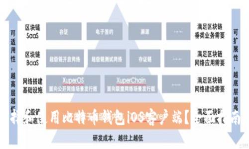 如何选择和使用比特币钱包iOS客户端？全面指南与推荐