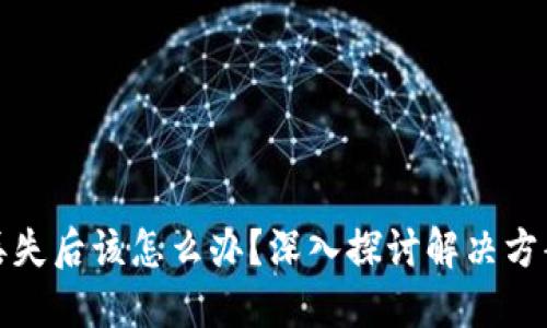 比特币钱包丢失后该怎么办？深入探讨解决方案与预防措施