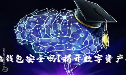 虚拟币本地钱包安全吗？揭开数字资产安全的真相