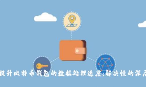 如何提升比特币钱包的数据处理速度：解决慢的深层分析