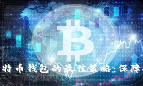 选择多重比特币钱包的最佳策略：保障安全与便捷