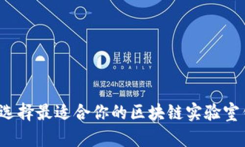 如何选择最适合你的区块链实验室钱包？