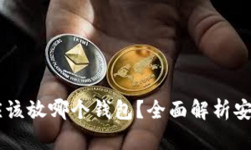 抹茶USDT应该放哪个钱包？全面解析安全存储方案
