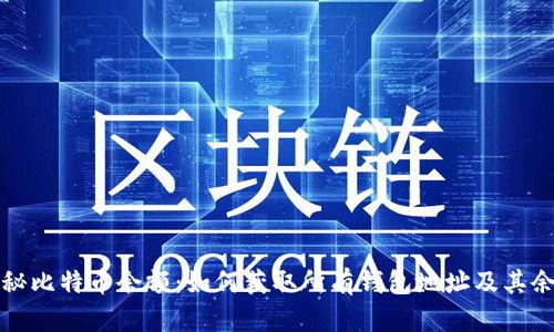 揭秘比特币余额：如何获取所有钱包地址及其余额