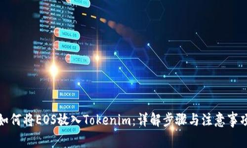 如何将EOS放入Tokenim：详解步骤与注意事项