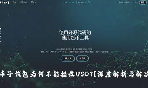 比特币子钱包为何不能接收USDT？深度解析与解决方案
