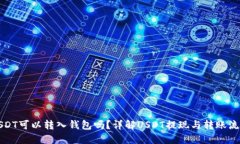 USDT可以转入钱包吗？详解USDT提现与转账流程