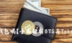 BTS能存tokenim钱包吗？全面解析BTS与Tokenim钱包的兼