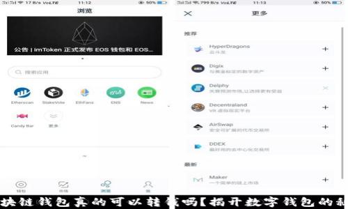 
区块链钱包真的可以转钱吗？揭开数字钱包的秘密