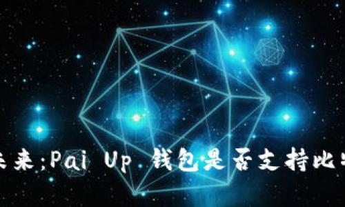  支付的未来：Pai Up 钱包是否支持比特币存储？