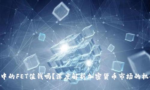 Tokenim中的FET值钱吗？深度解析加密货币市场的机会与挑战