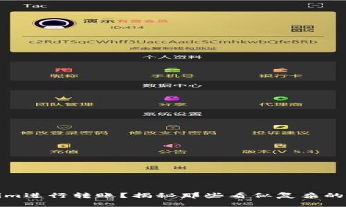 如何使用Tokenim进行转账？揭秘那些看似复杂的数字背后的含义