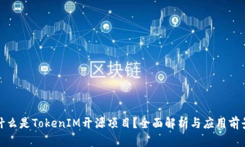 什么是TokenIM开源项目？全面解析与应用前景