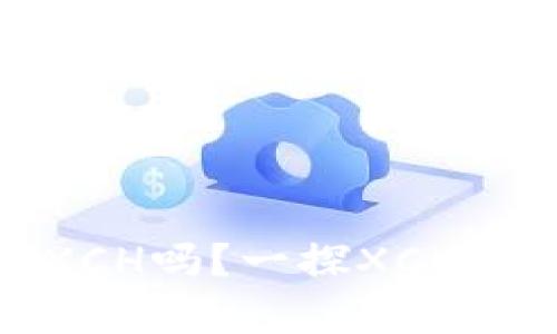 TokenTokenIM钱包支持XCH吗？一探XCH与TokenTokenIM的兼容性