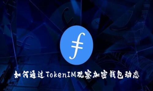 如何通过TokenIM观察加密钱包动态