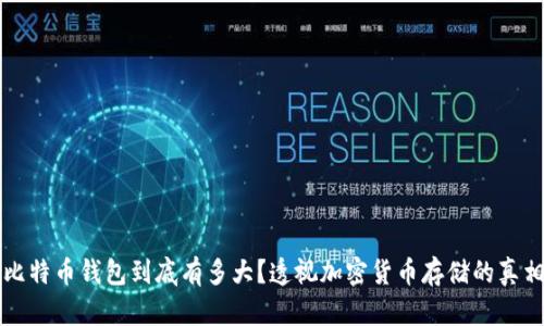 比特币钱包到底有多大？透视加密货币存储的真相