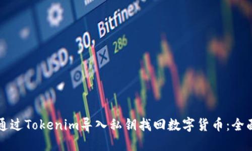 如何通过Tokenim导入私钥找回数字货币：全面指南