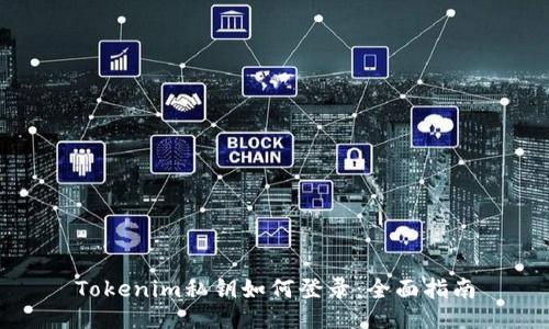 Tokenim私钥如何登录：全面指南