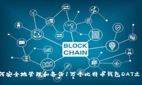 如何安全地管理和备份1万个比特币钱包DAT文件？
