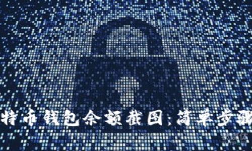 如何制作比特币钱包余额截图：简单步骤与详尽指南