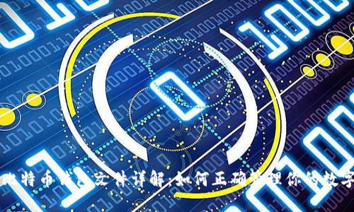 早期比特币钱包文件详解：如何正确管理你的数字资产