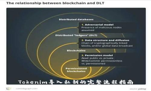 Tokenim导入私钥的完整流程指南