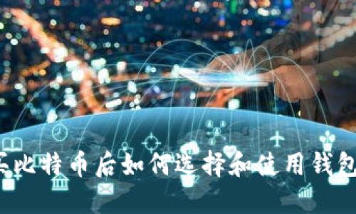 买比特币后如何选择和使用钱包？
