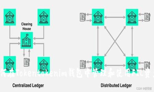 如何在Tokentokenim钱包中管理和使用FIL资产？