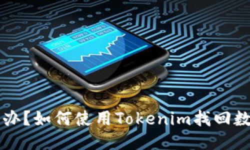 手机丢了怎么办？如何使用Tokenim找回数据与保障安全