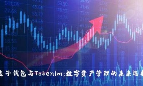 麦子钱包与Tokenim：数字资产管理的未来选择