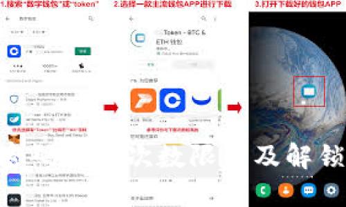 Tokenim密码错误次数限制及解锁方法详解