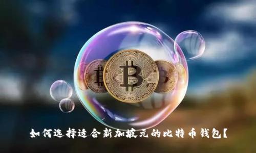 如何选择适合新加坡元的比特币钱包？