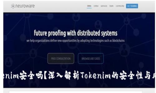 Tokenim安全吗？深入解析Tokenim的安全性与风险