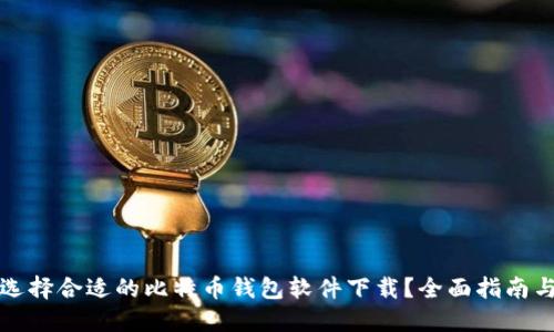 如何选择合适的比特币钱包软件下载？全面指南与推荐