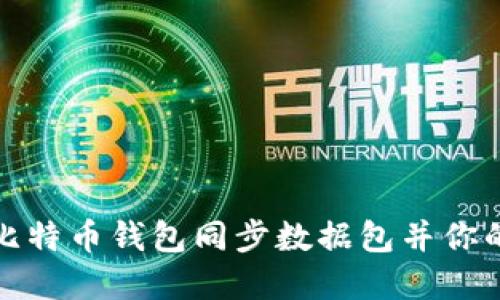 如何高效下载比特币钱包同步数据包并你的加密资产管理