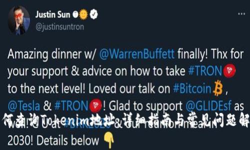 如何查询Tokenim地址：详细指南与常见问题解析