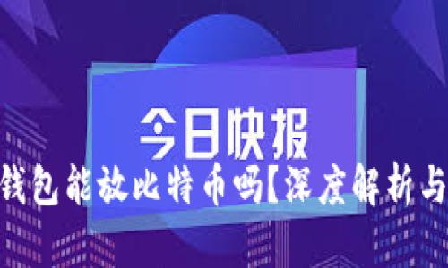Tokenim钱包能放比特币吗？深度解析与用户指南