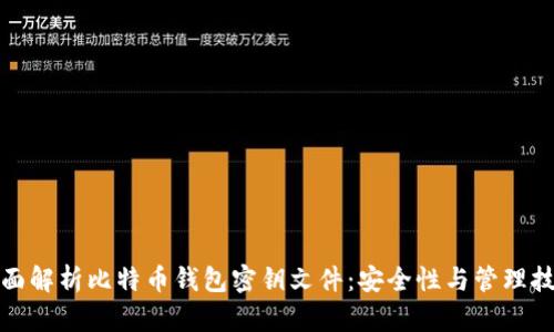 全面解析比特币钱包密钥文件：安全性与管理技巧