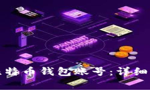如何快速注册比特币钱包账号：详细指南与注意事项