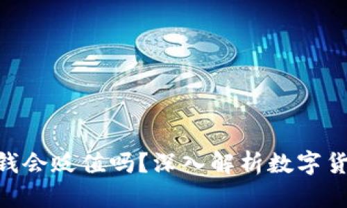 冲进Tokenim的钱会贬值吗？深入解析数字货币的风险与机遇