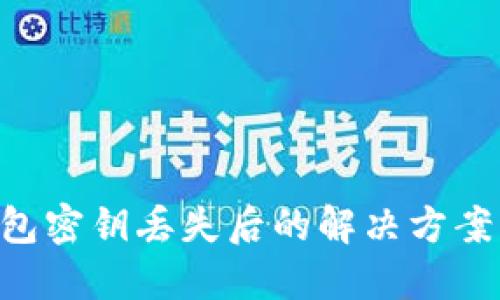 Tokenim钱包密钥丢失后的解决方案与预防措施