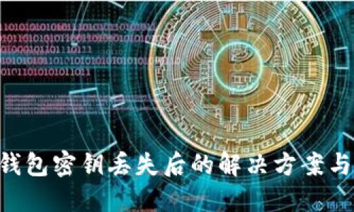 Tokenim钱包密钥丢失后的解决方案与预防措施